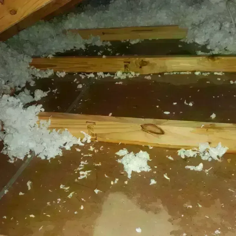 Attic Water Damage in Nevada, TX