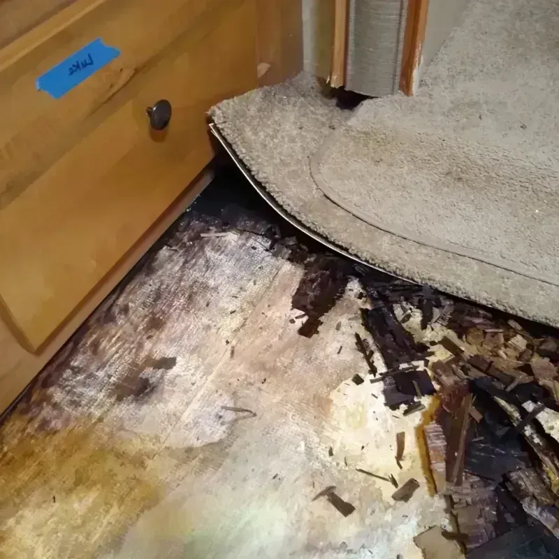 Best Wood Floor Water Damage Service in Nevada, TX